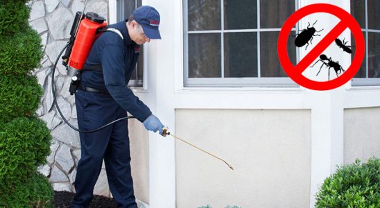 Mesudiye Kene İlaçlama böcek ilaçlama ve haşere kontrolü — ilaclama-tr.com